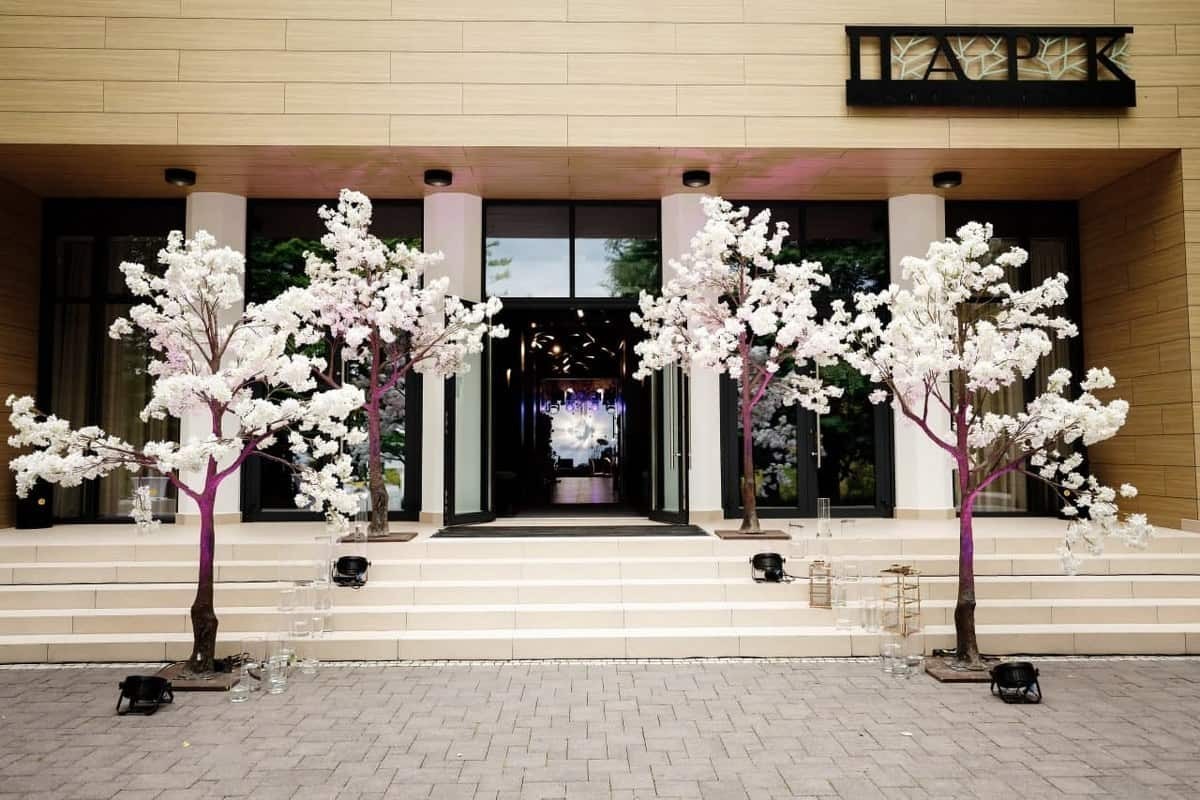 Birthday Celebrations-5